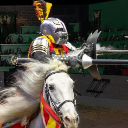Medieval Times Bus Trip