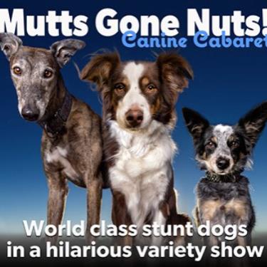 Mutts Gone Nuts Bus Trip