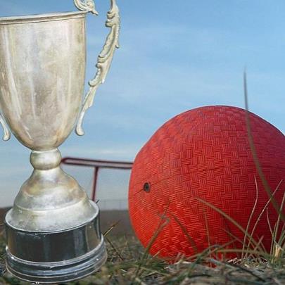 Adult Kickball Tournament