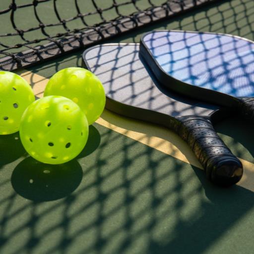 Bloomingdale Pickleball OPEN PLAY