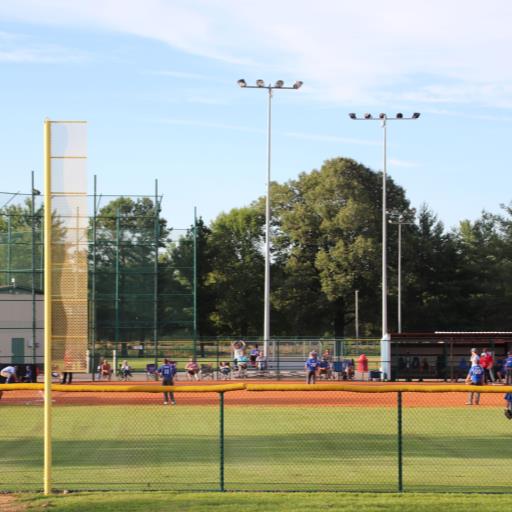 BASEBALL FIELDS- PROFIT
