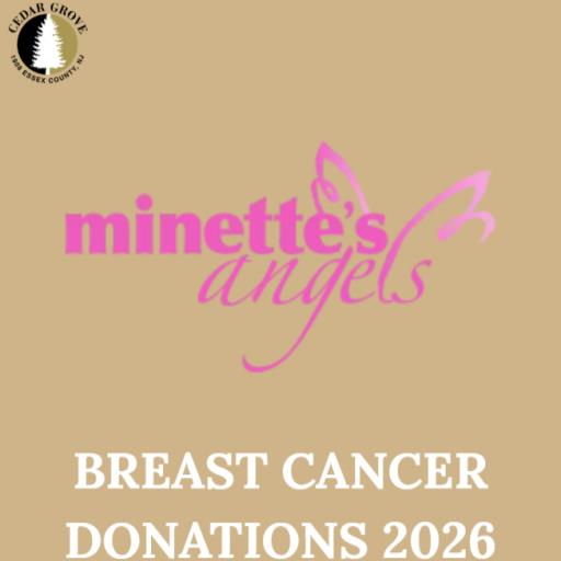 Breast Cancer Walk 2026 Donations 