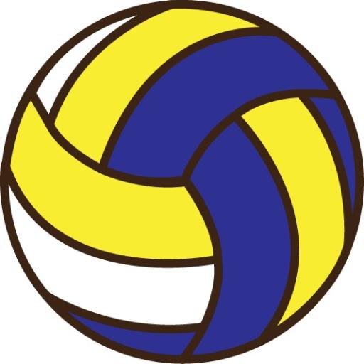 ADULT CO-ED VOLLEYBALL 