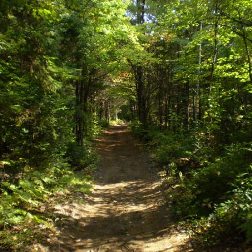 Nature Now