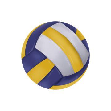 Adult Volleyball Fall