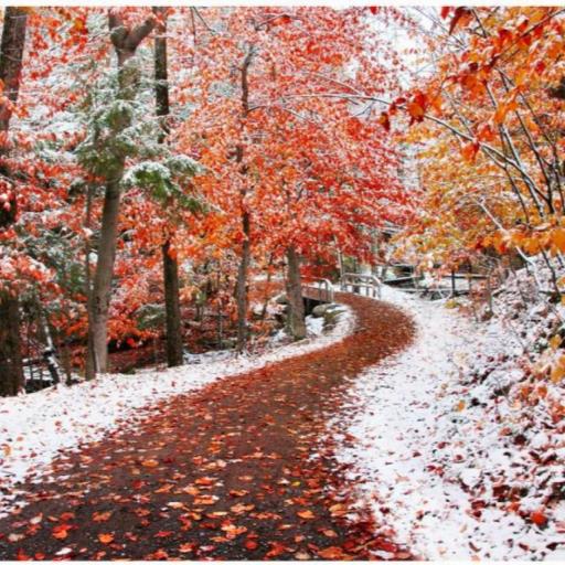 Town of Clarence Parks & Rec