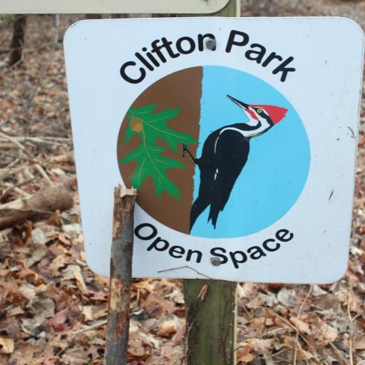 Summer Saturday Guided Hikes