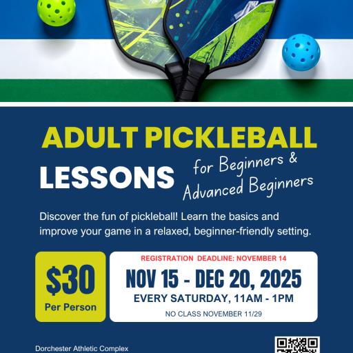 2025 Adult Pickleball Lessons for Beginners & Advanced Beginners