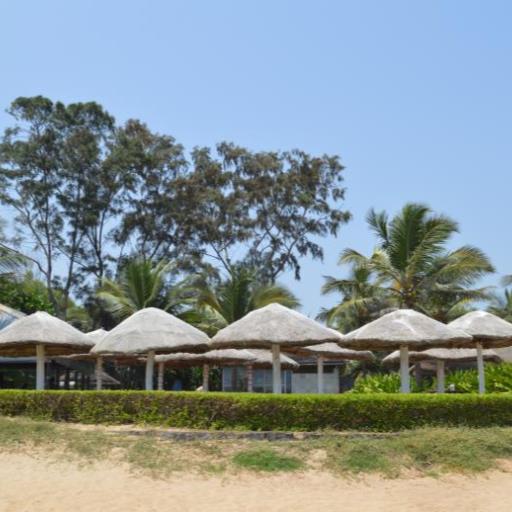 Beach Club Rentals