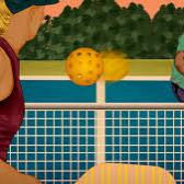 Pickleball Memberships (Daily, Weekly, Seasonal)