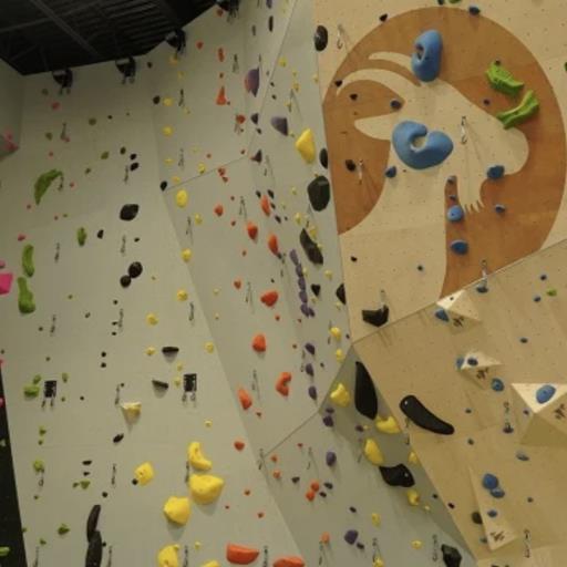 Summer Camp Field Trip 2026 | Rock Climbing