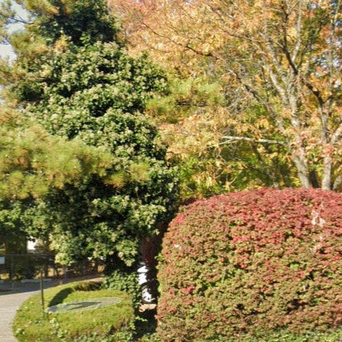 Artus Park - Court/Play Area