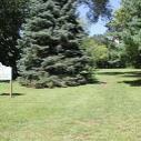 Wheeler Park