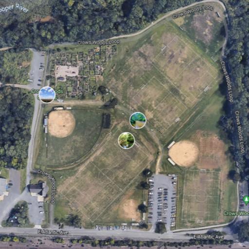 Crows Woods - Field #1