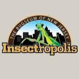 Insectropolis