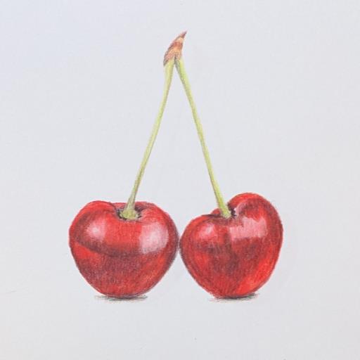 Intro to Colored Pencils: Cherries