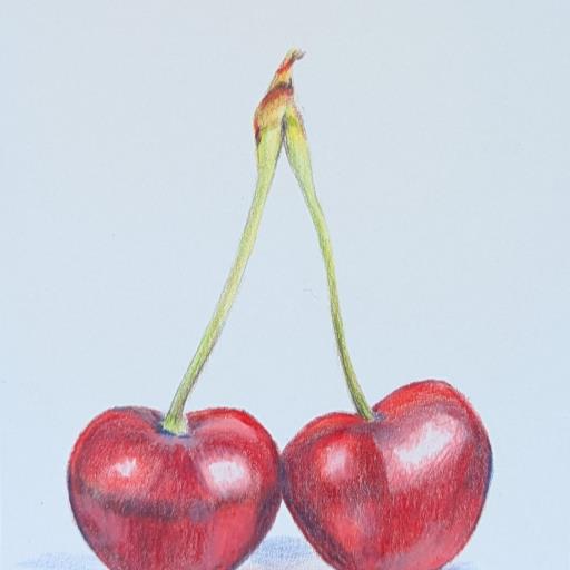 Intro to Colored Pencils: Cherries