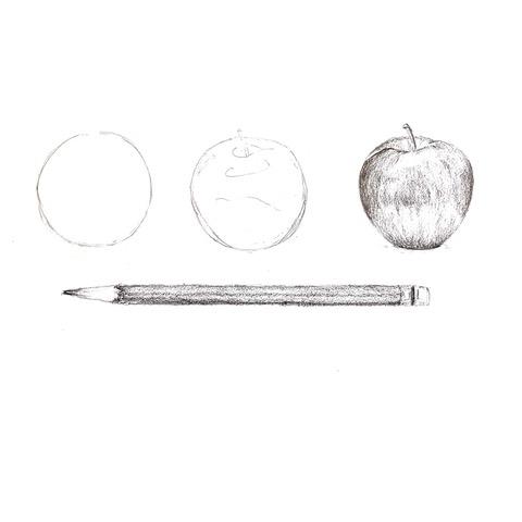 Drawing for beginners 