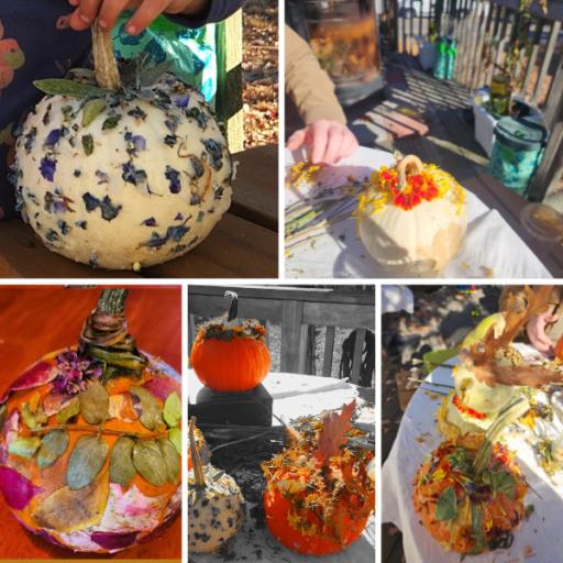 Eco-Friendly Pumpkin Art