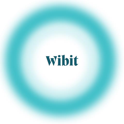 Wibit