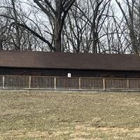 Shelter #3 