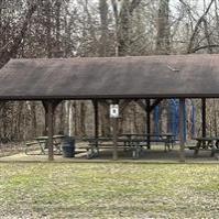 Shelter #8