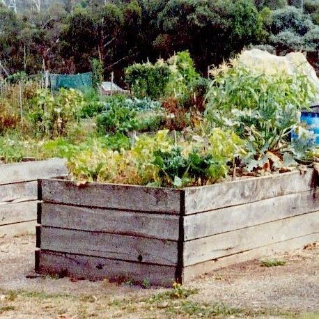 Medford Freedom Park Community Gardens