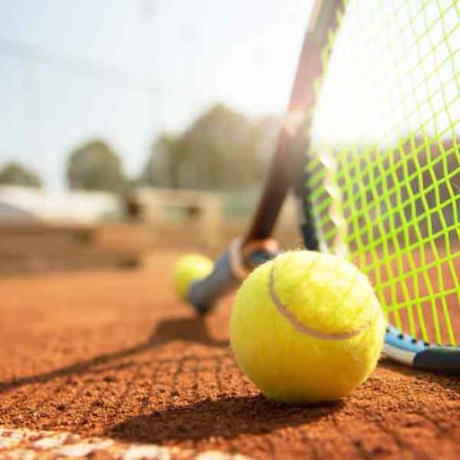 Adult Tennis Clinics 2022