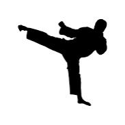 Youth Martial Arts Program