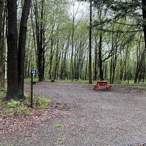 Camp Site 23