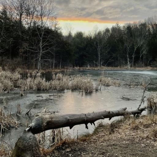 Mill Brook Preserve (Wallkill Valley Land Trust)