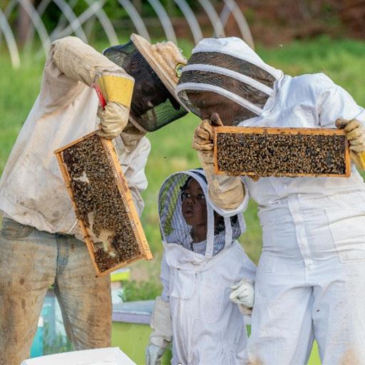 Ulster County Beekeepers’ Association