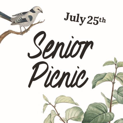 Senior Picnic at Field of Dreams 2025