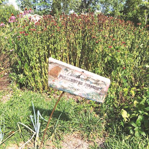 Volunteer Opportunity: Pollinator Paradise Garden Signs
