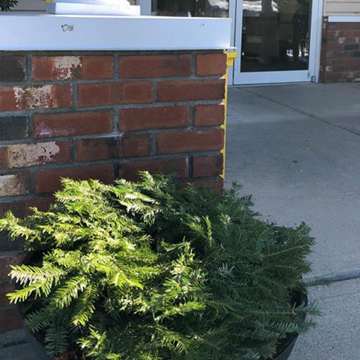 Thank you, Wallkill View Farm!