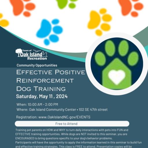 Effective Positive Reinforcement Dog Training