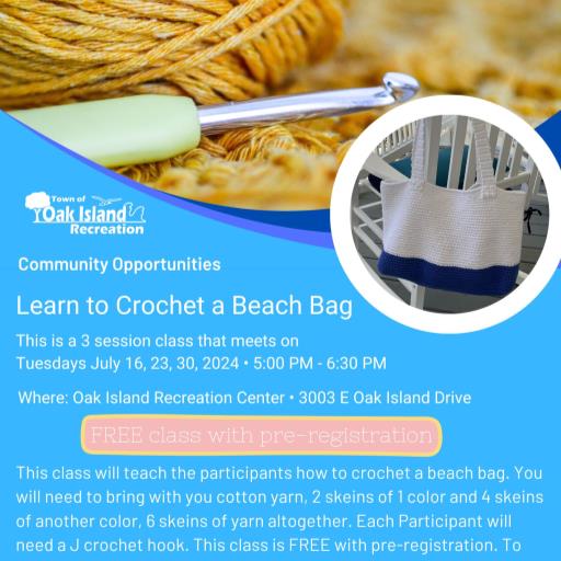 Learn to Crochet a Beach Bag