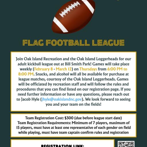 Adult Flag Football League (2026)