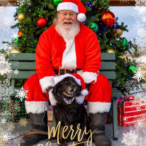 Santa Paws