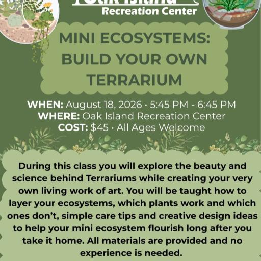 Mini Ecosystems: Build Your Own Terrarium