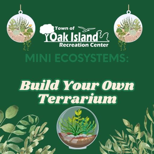 Mini Ecosystems: Build Your Own Terrarium