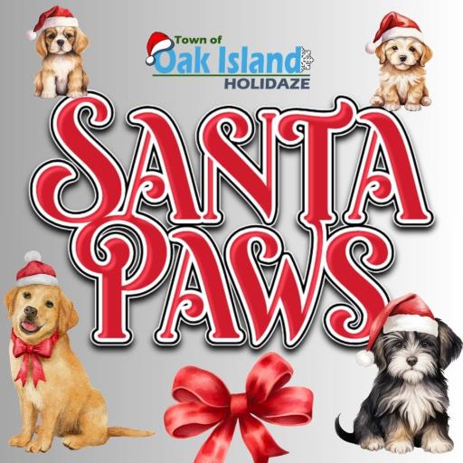 Santa Paws