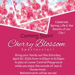 Cherry Blossom Spectacular April 20,  2024
