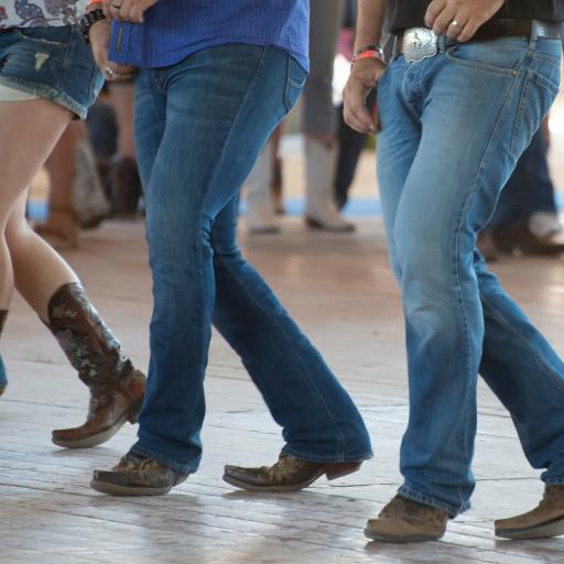 Line Dancing for All Levels