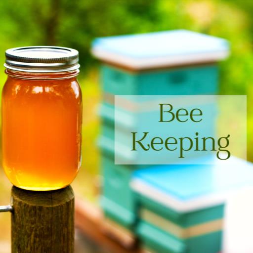 Beekeeping Basics 