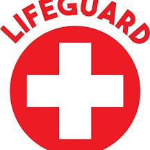 Lifeguard Certification Courses 2025