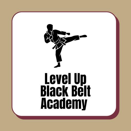 Level Up Black Belt Academy 