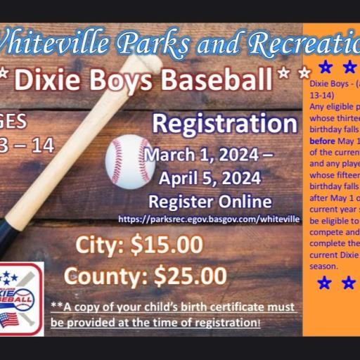 Dixie Boys Baseball 